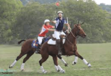 What Is The History Of Polocrosse?