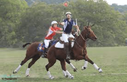 What Is The History Of Polocrosse?