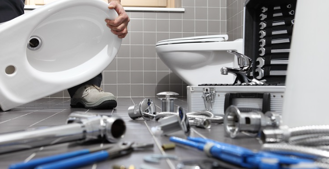 Toilet Repairs Made Easy: The Role Of A Plumber In Sydney