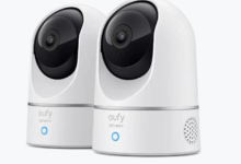 Indoor Security Camera Benefits: Keeping an Eye on Pets and Kids