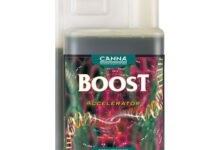 Using Canna Boost