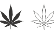 Outline:8gb3ndtdoqy= Weed Leaf