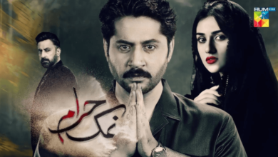 Namak Haram Drama Cast: An Inside Look at the Cast of Namak Haram Drama