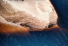 alefudoli key features overview