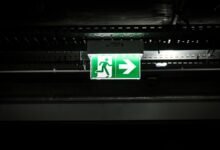 bonus play features guide