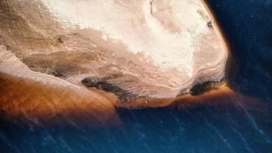 construmadeira features and overview