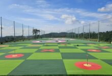 competitive market analysis overview