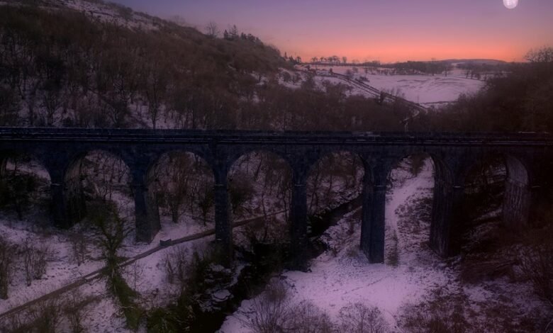 traffic maximizer 3513121001 success beacon