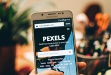 drive online success with web solutions