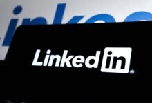 online authority brand platform