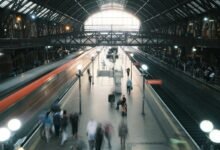 transform your digital presence growth platform 8037168112