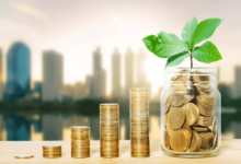 Long-Term Wealth Creation Through Consistent Investing in Indian Equities