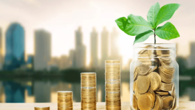Long-Term Wealth Creation Through Consistent Investing in Indian Equities