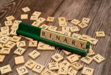 language and encoding scan details and names
