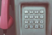 phone numbers and an id present