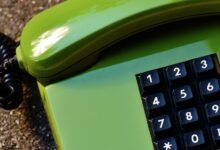 phone numbers and domain text entities