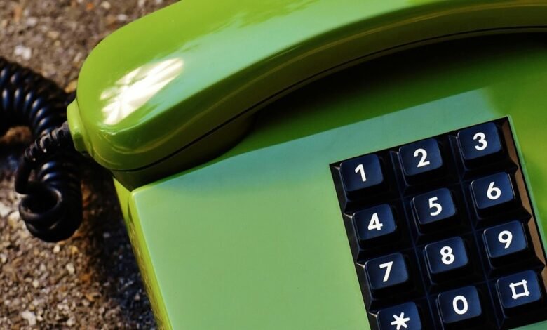phone numbers and domain text entities