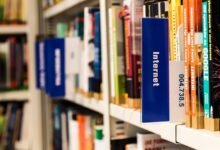 a beginner friendly widoor704816 guide